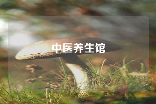中医养生馆