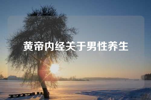 黄帝内经关于男性养生