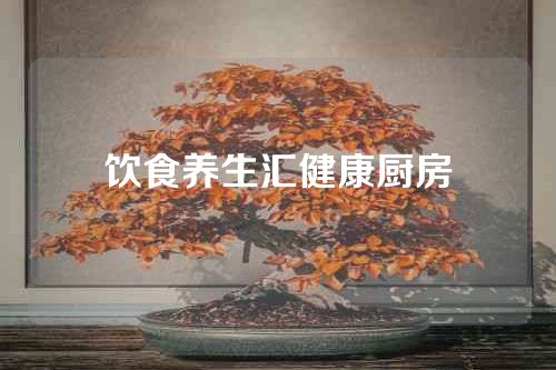 饮食养生汇健康厨房