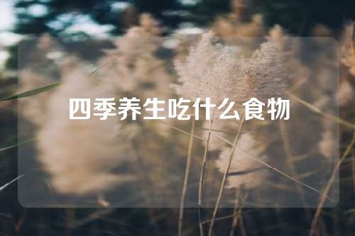 四季养生吃什么食物