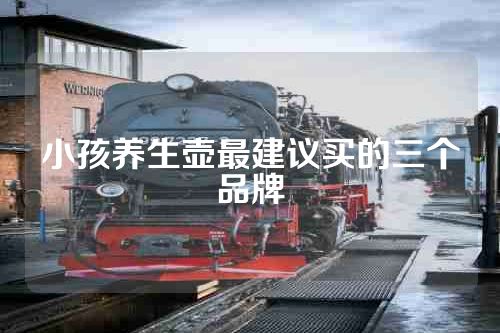 小孩养生壶最建议买的三个品牌