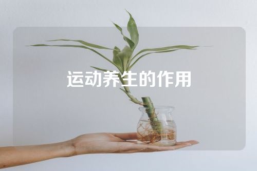 运动养生的作用