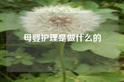 母婴护理是做什么的