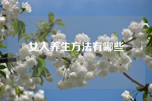 女人养生方法有哪些