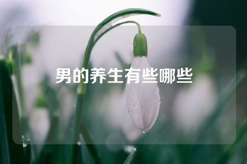 男的养生有些哪些