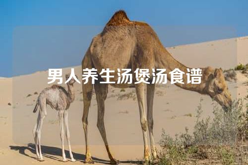 男人养生汤煲汤食谱