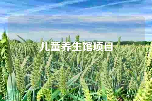 儿童养生馆项目