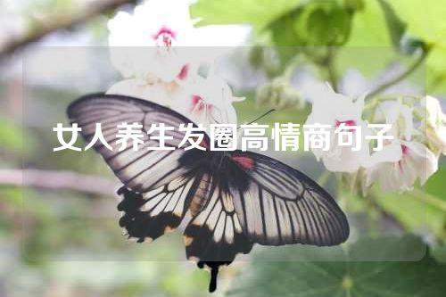 女人养生发圈高情商句子