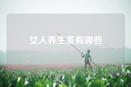 女人养生茶有哪些