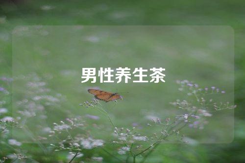 男性养生茶
