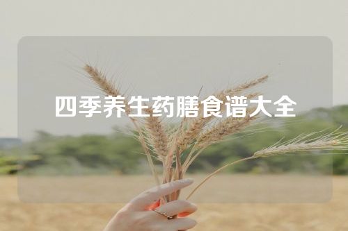 四季养生药膳食谱大全