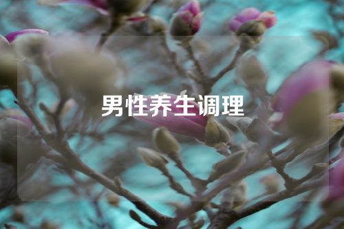 男性养生调理