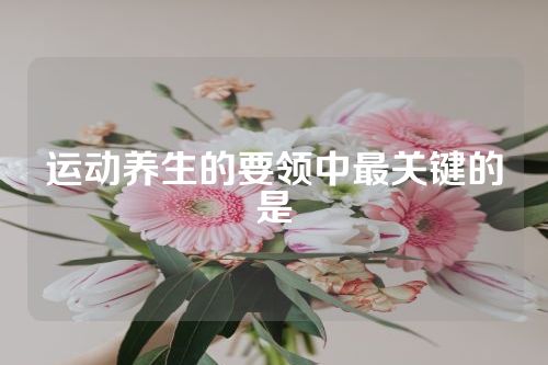 运动养生的要领中最关键的是