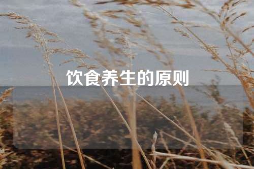 饮食养生的原则
