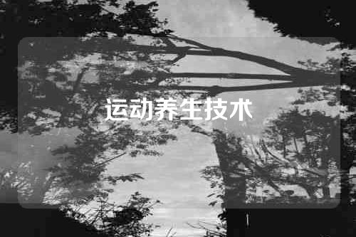 运动养生技术