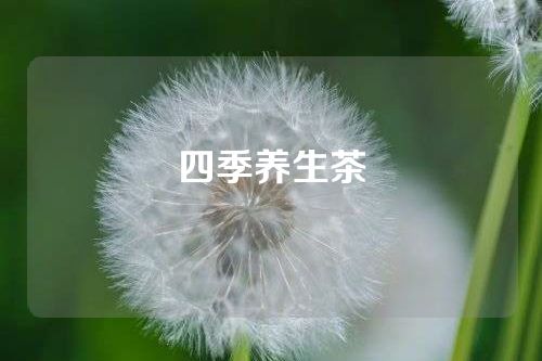 四季养生茶