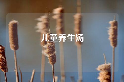 儿童养生汤