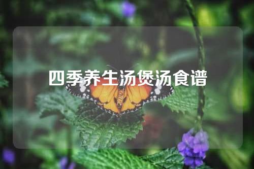 四季养生汤煲汤食谱
