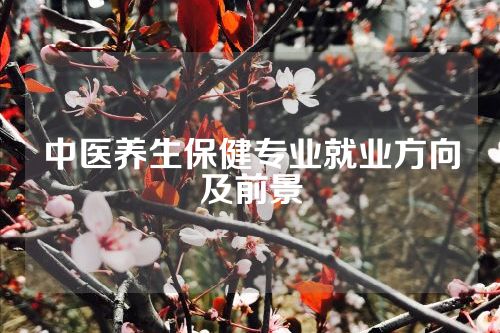 中医养生保健专业就业方向及前景