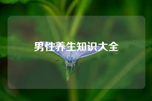 男性养生知识大全