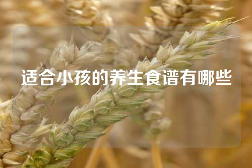 适合小孩的养生食谱有哪些