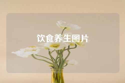 饮食养生图片