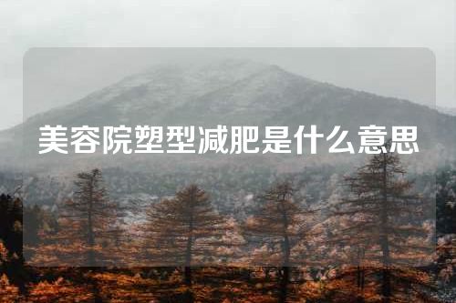 美容院塑型减肥是什么意思