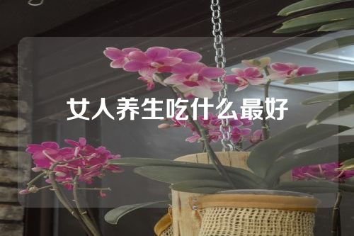 女人养生吃什么最好