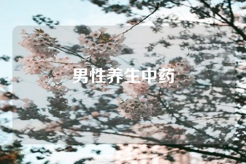 男性养生中药
