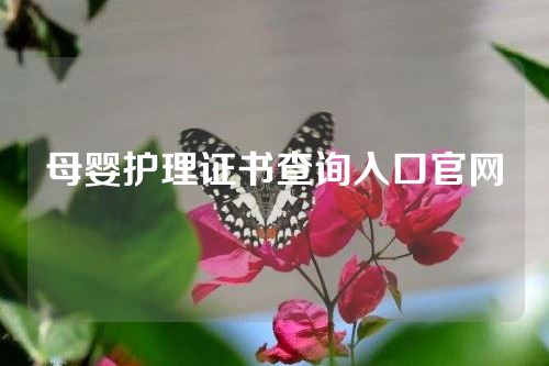 母婴护理证书查询入口官网