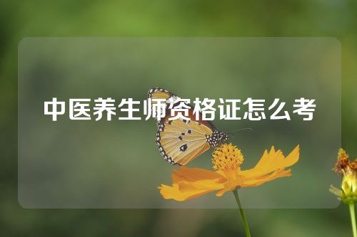 中医养生师资格证怎么考