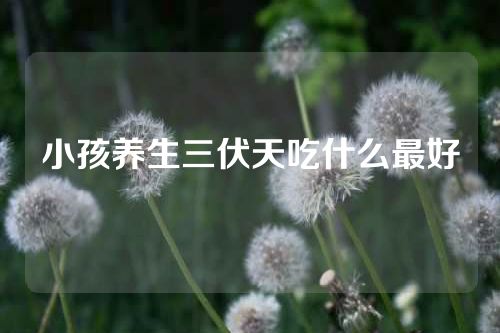 小孩养生三伏天吃什么最好