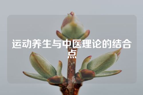 运动养生与中医理论的结合点