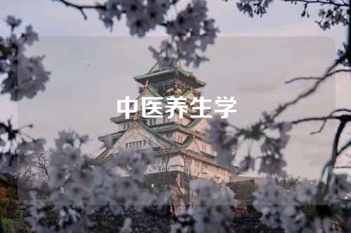 中医养生学