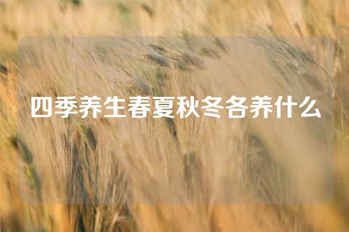四季养生春夏秋冬各养什么
