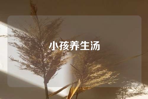 小孩养生汤