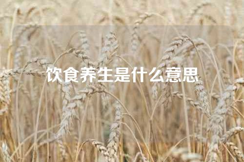 饮食养生是什么意思