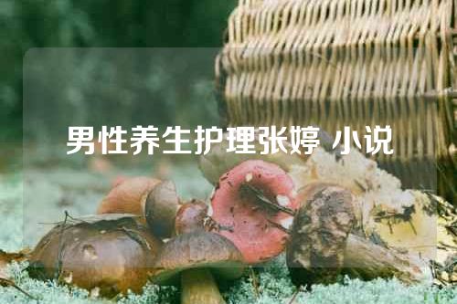 男性养生护理张婷 小说