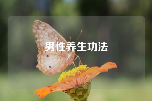 男性养生功法