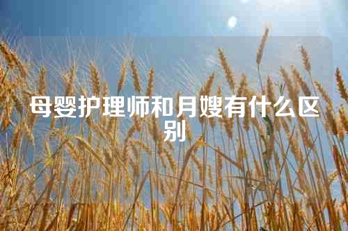 母婴护理师和月嫂有什么区别