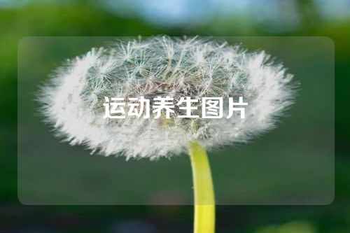 运动养生图片