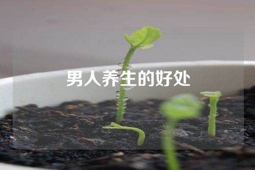 男人养生的好处