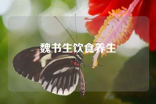 魏书生饮食养生