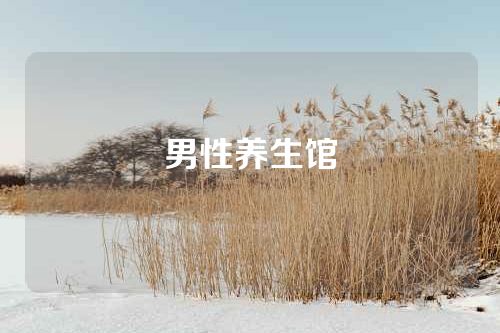 男性养生馆