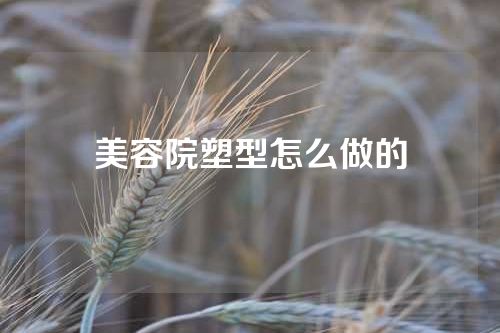 美容院塑型怎么做的