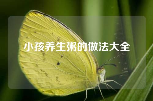 小孩养生粥的做法大全