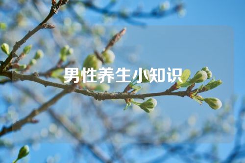 男性养生小知识