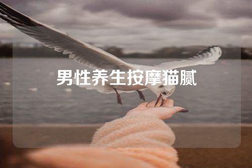 男性养生按摩猫腻