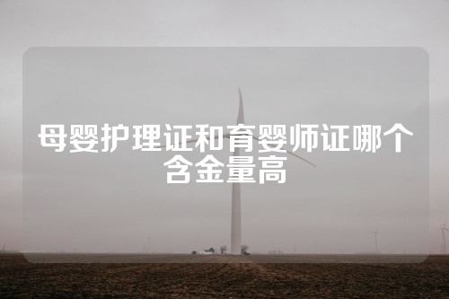 母婴护理证和育婴师证哪个含金量高