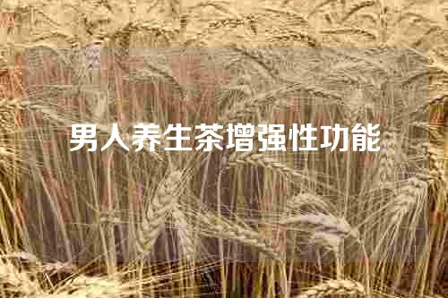 男人养生茶增强性功能
